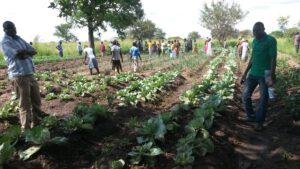 _©GEMEINSAM MIT AFRIKA