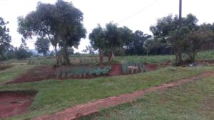 _©GEMEINSAM MIT AFRIKA