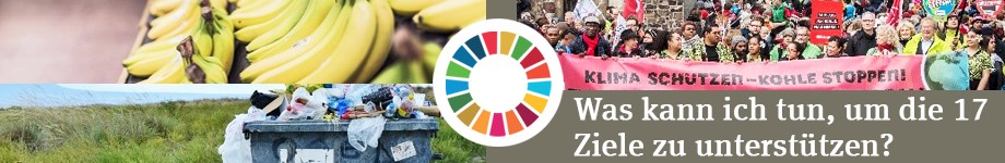 Was kann ich tun, um die 17 Ziele zu unterstützen?