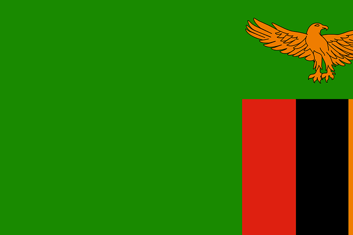 Flagge von Sambia