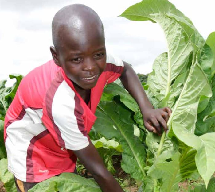 Diese Arbeit macht mich krank