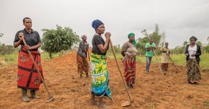 CARE trainiert Frauen und Männer in der Herstellung von Dünger aus Asche, Erde und organischen Blättern._© Timothy Buckley/CARE