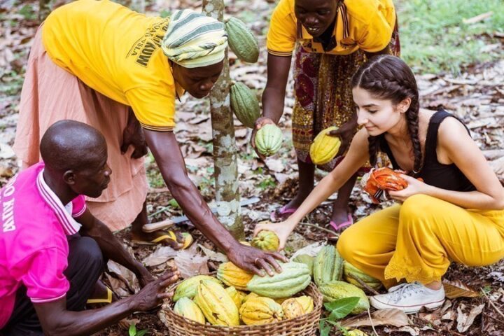 Ischtar Isik war mit uns in Ghana. Vor Ort konnte Sie erfahren, welch harte Arbeit hinter dem Kakaoanbau und der Kakaoernte steckt._© GEMEINSAM MIT AFRIKA / Florian Oellers