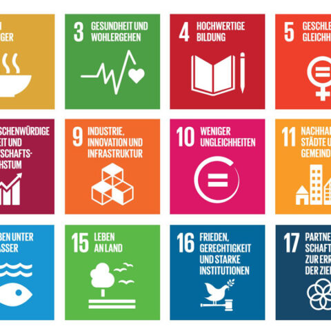 17_SDGs_im_Überblick_Ausschnitt