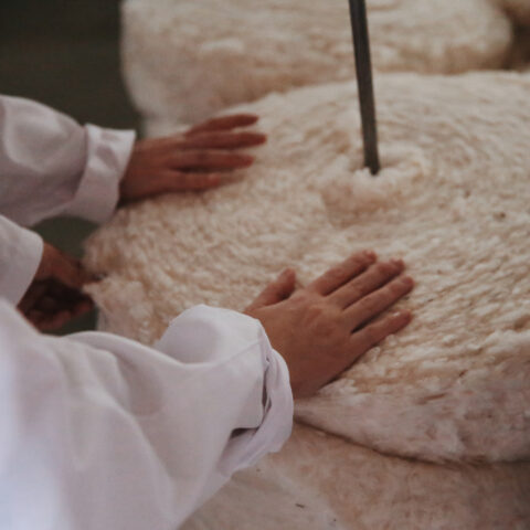 Processed with VSCO with c8 preset