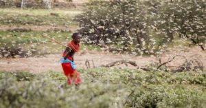 _©picture alliance / AP Images