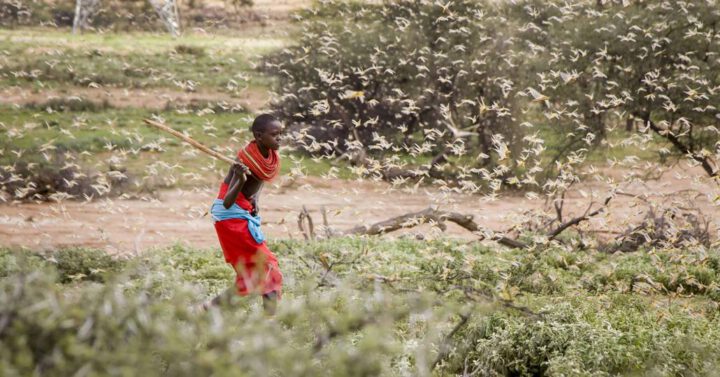 _©picture alliance / AP Images