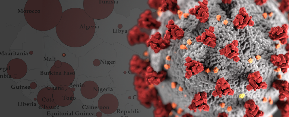 _©picture Africa Center for Strategic Studies