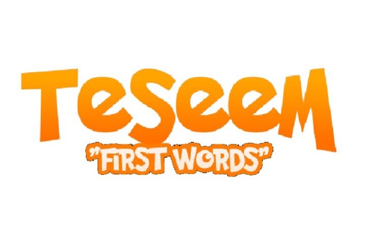 Logo: Teseem