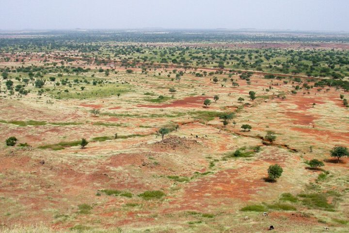 Great Green Wall Great Green Wall (©Daniel Tiveau/CIFOR via Flickr cifor-mediainfo@cgiar.org)