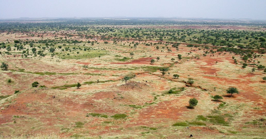 Great Green Wall Great Green Wall (©Daniel Tiveau/CIFOR via Flickr cifor-mediainfo@cgiar.org)