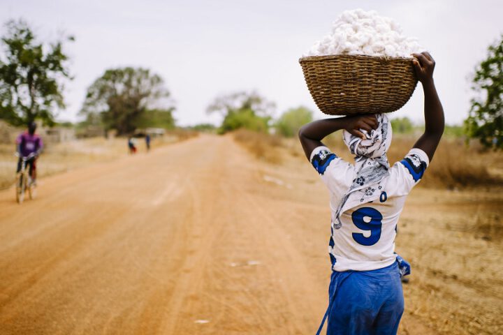 Symbolbild: Kinderarbeit auf Baumwollplantagen