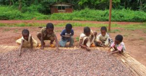 Kinderarbeit auf Kakaoplantagen