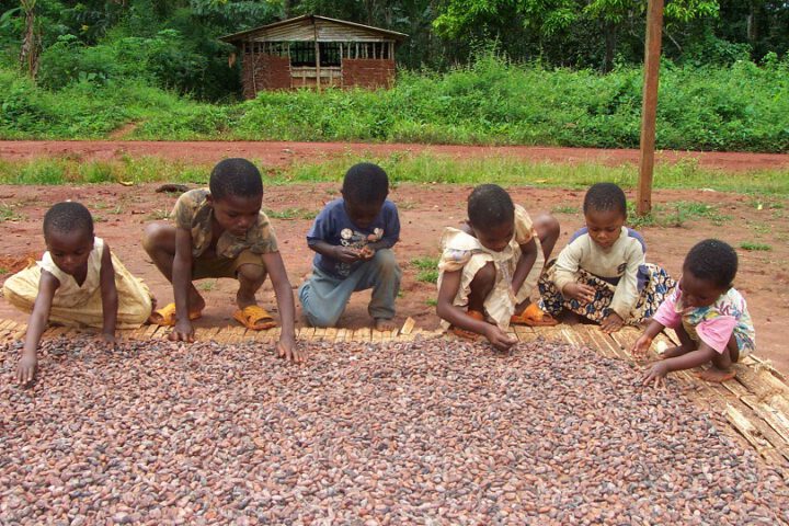 Kinderarbeit auf Kakaoplantagen