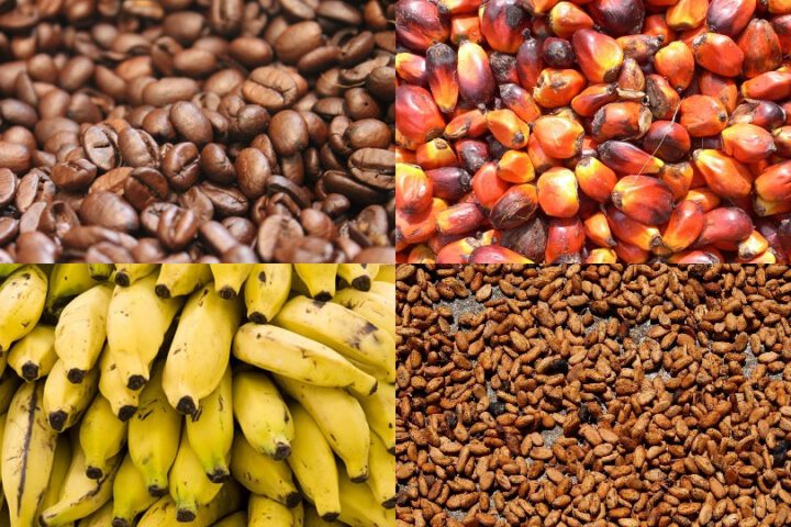 Kinderarbeit in Lebensmitteln