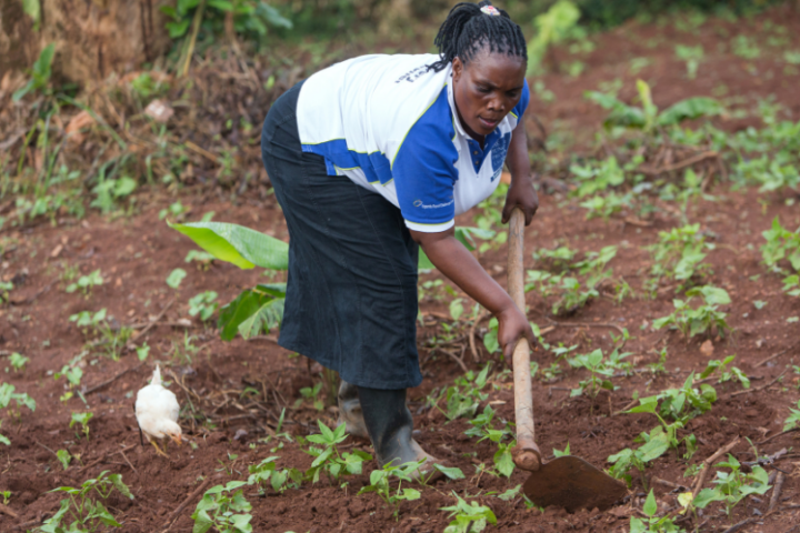 Uganda_Frau arbeitet auf dem Feld_©GEMEINSAM MIT AFRIKA / Trappe