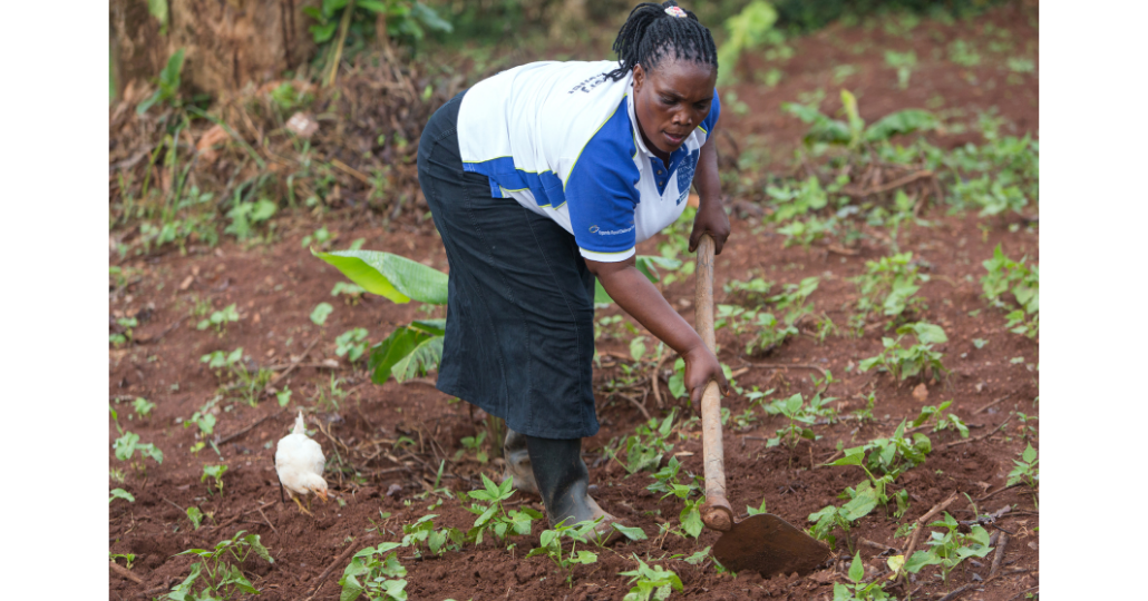 Uganda_Frau arbeitet auf dem Feld_©GEMEINSAM MIT AFRIKA / Trappe