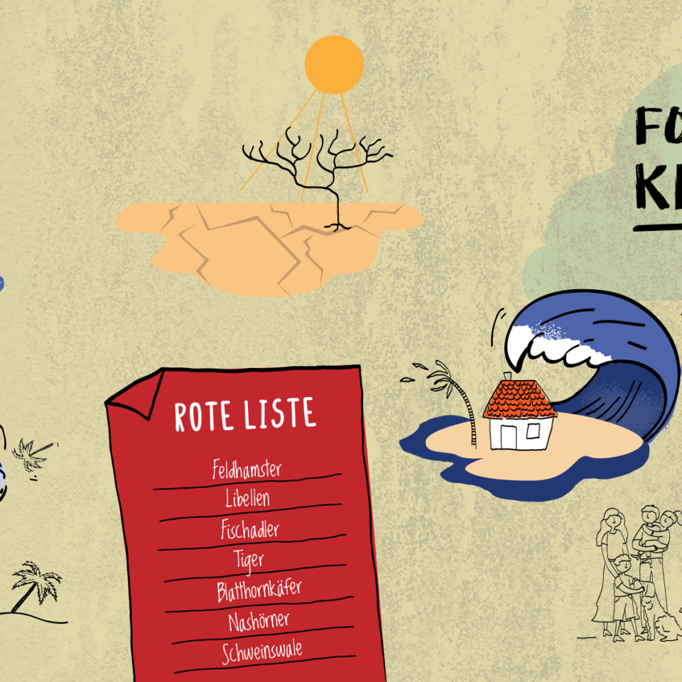 Folgen der Klimakrise in Afrika und Europa_©GEMEINSAM MIT AFRIKA