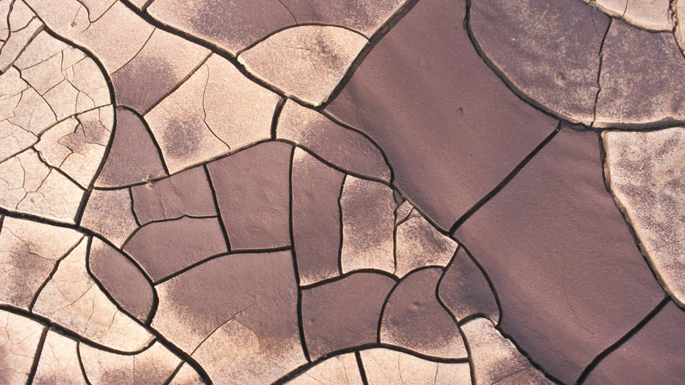 Extreme Hitze_©thaths (CC BY-NC 2.0)