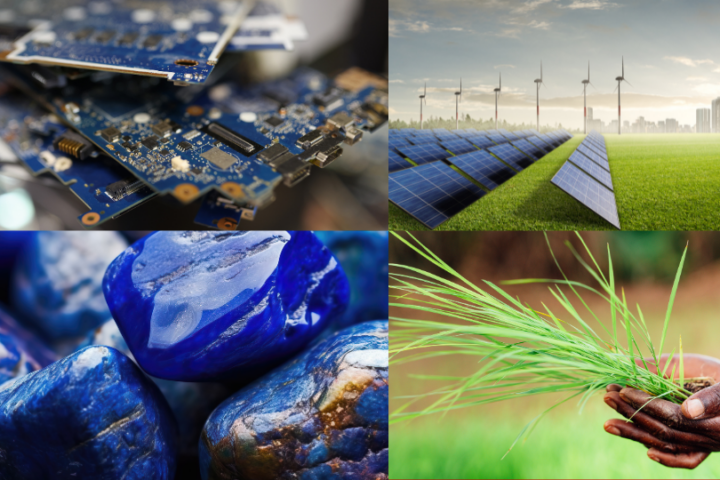 Grüner Kolonialismus