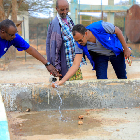 Islamic Relief in Somalia: Krisenhilfe und Ernährungssicherheit nach Dürreperiode
