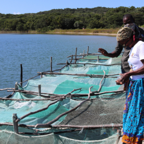 ADRA in Mosambik: Umweltschutz ist Menschenschutz