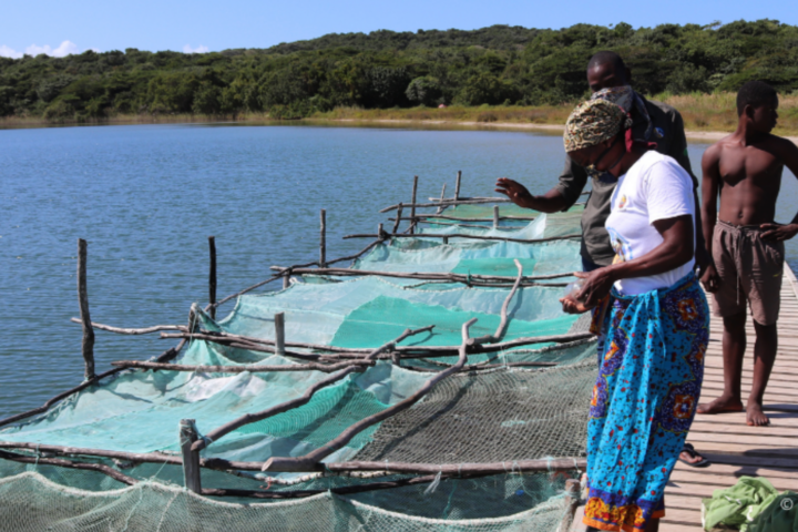 ADRA in Mosambik: Umweltschutz ist Menschenschutz