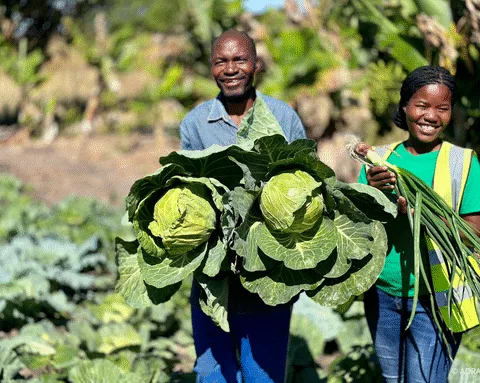 ADRA in Mosambik: Mehr Nahrung und Sicherheit für Familien