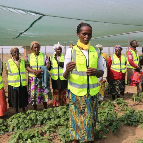 In den „Farmers Field Schools“ erlernen Frauen neue Anbaumethoden. © Habitat for Humanity Zambia